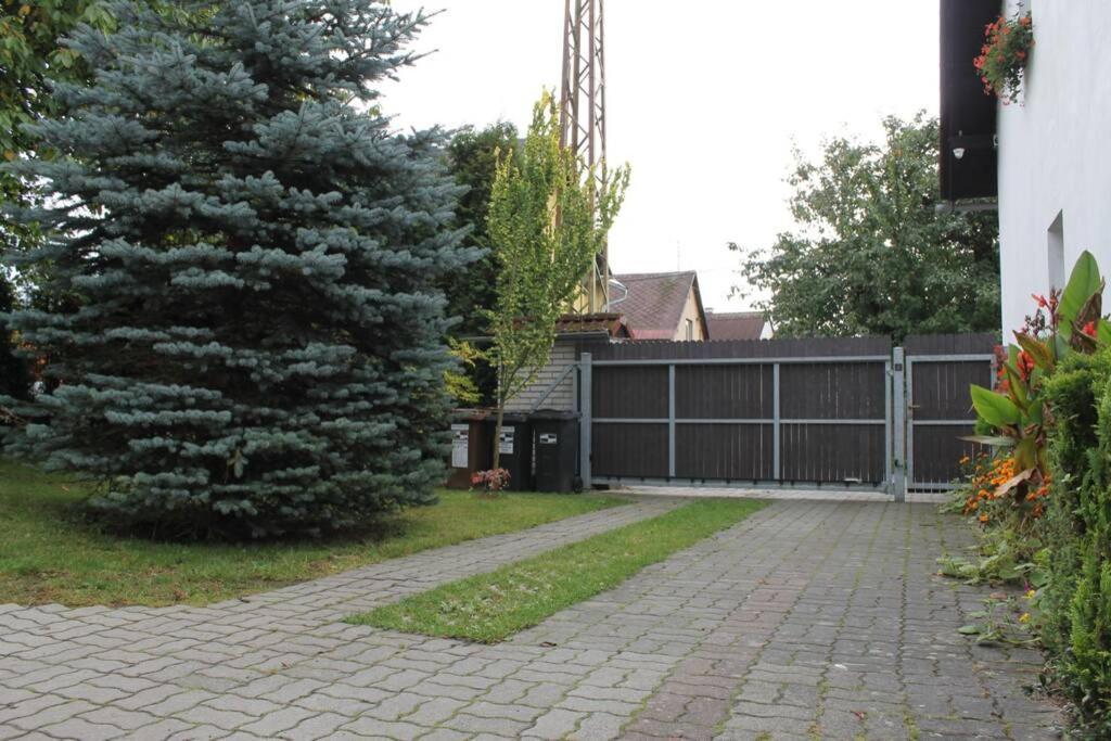 Krasny Apartman V Brane Luzickych Hor Cvikov Dış mekan fotoğraf