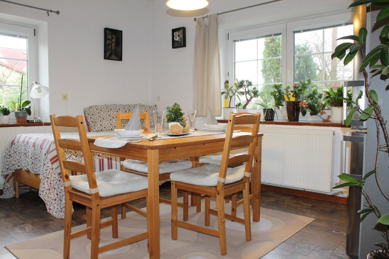 Krasny Apartman V Brane Luzickych Hor Cvikov Dış mekan fotoğraf